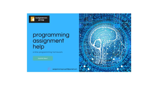 Online programming help