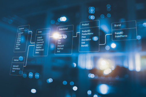 Database Management System (DBMS) Market