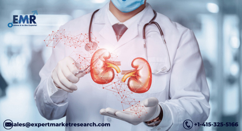 Acute Kidney Injury Treatment Market