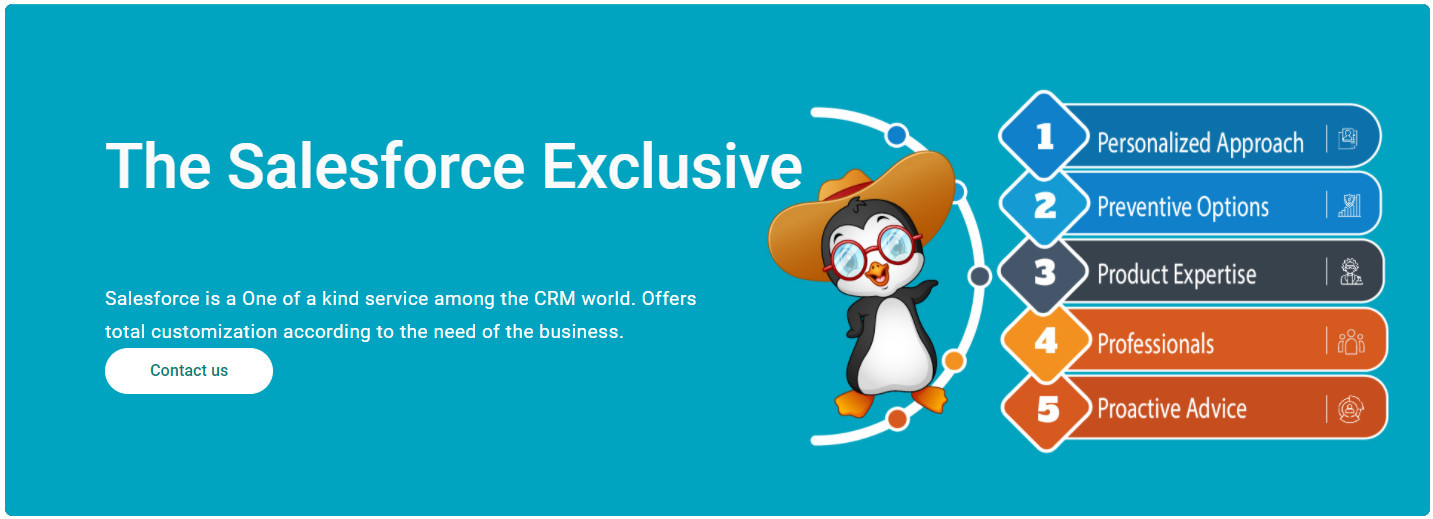 Salesforce Development Technology