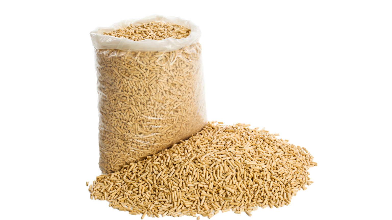 Pallet Repair and Disposal - Brplegno