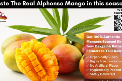Why The Shortage of Alphonso Mangoes