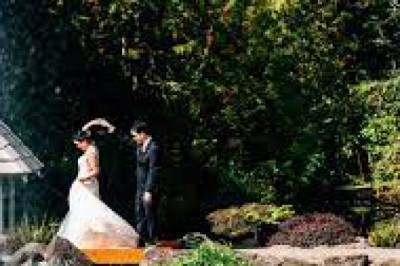 Wedding Planners and wedding services