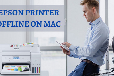 Why is my Epson Printer Offline on Mac Device?