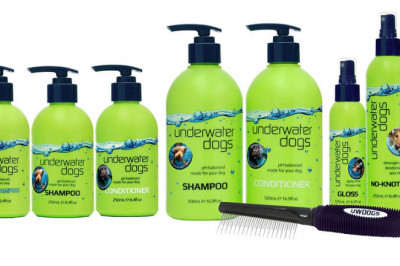 Best NaturallyMoisturising Dog Shampoo and Conditioner for Dry Skin