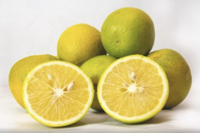 Mosambi Juice for Weight Loss? Try it Today