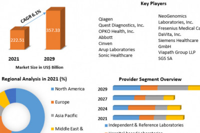 Clinical Laboratory Service Market strategy top leaders and forecast 2029