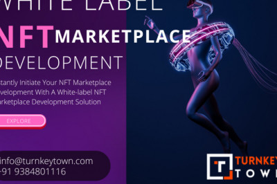 Launch White-label NFT Marketplaces With Budget-friendly Approach