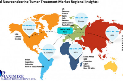Global Neuroendocrine Tumor Treatment Market Overview And Competition Analysis By 2029