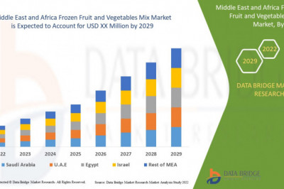 Middle East and Africa Frozen Fruit and Vegetable Mix Market Insights 2022: Trends, Size, CAGR, Growth Analysis by 2029