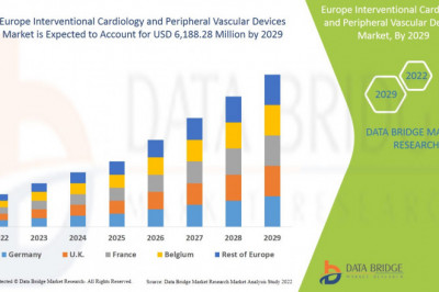 Europe Interventional Cardiology and Peripheral Vascular Devices Market  Industry challenges , Major Technology Giants .