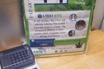 How Does a Plant Become Infected With a Hop Latent Virus?