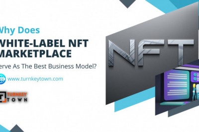 Why should I choose a white-label NFT marketplace?