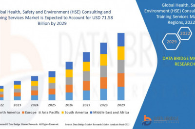 Global Health, Safety and Environment Consulting and Training Services Market