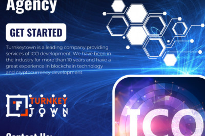 Leveraging the Advantages of Professional ICO Development Services