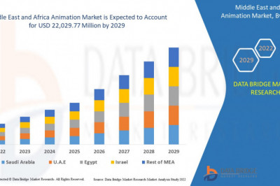 Middle East and Africa Animation Market Share is Expected to Increase