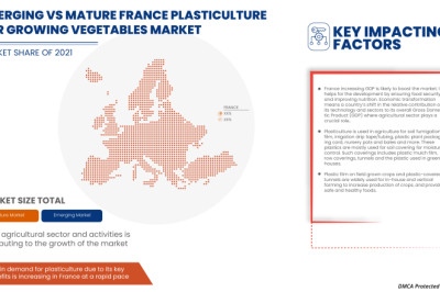 France Plasticulture for Growing Vegetables Market is expected to grow by EUR 42.79 million during 2021-2028, accelerating at a CAGR of 3.0% during the forecast period