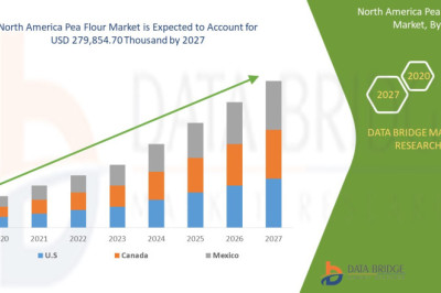 North America Pea Flour Market to Witness Significant Growth Through 2026"