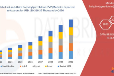 Market Segmentation and Forecast for the Middle East and Africa Polyvinylpyrrolidone (PVP) Market