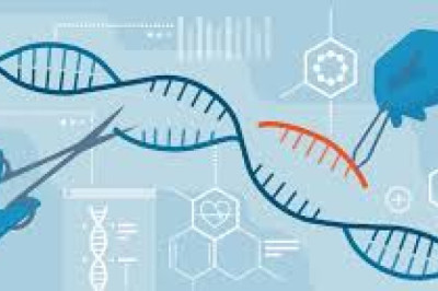 Genome Engineering Breakthroughs Reshaping Modern Medicine