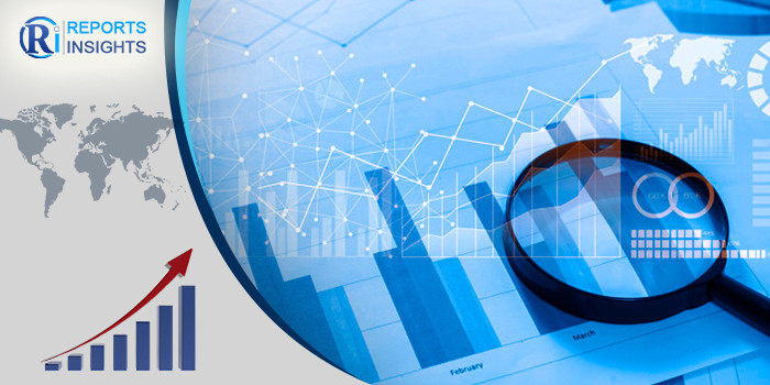 ReportsInsights Consulting Pvt Ltd