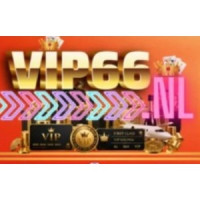 vip66nl