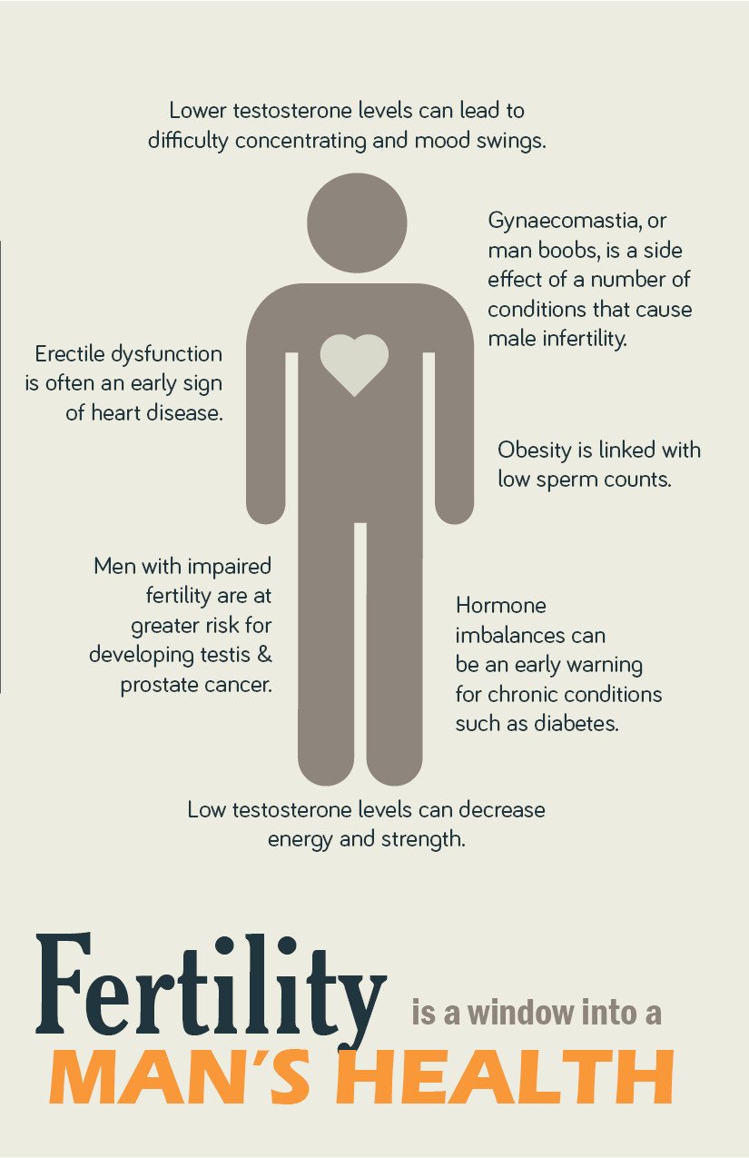 All You Need to Know About Male Fertility and Infertility