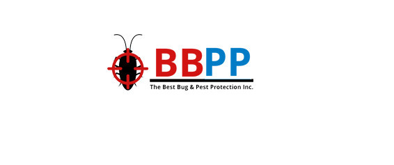 BBPP Wasps Exterminator Service in Markham - At Affordable Costs