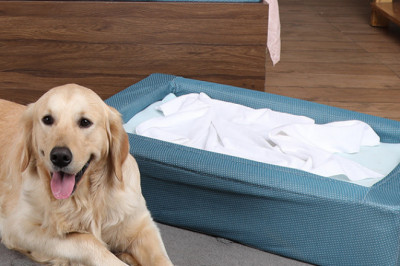 Buy Dog Bed Online