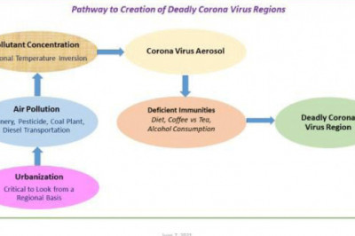 Virology  Influenza Virus