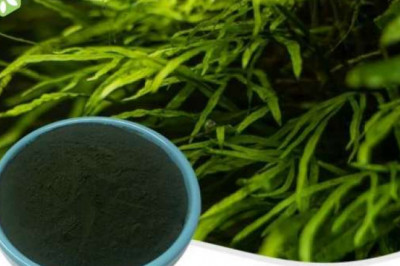 The benefits of organic superfood powder