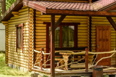 Why Choose Airbnb Clone for Startup Business?