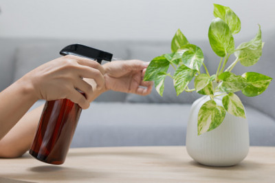 Global Foliar Spray Market Segment Based On Chemical In The Forecast Period Of 2022-2027