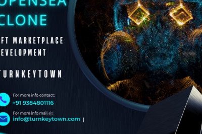 Is White-Label OpenSea Clone Suitable for Business Module?