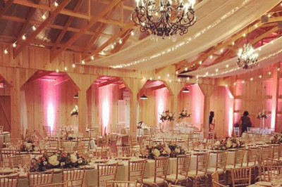 Best Cake Stands archives