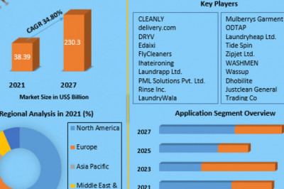 Global Online Ondemand Laundry Service Market