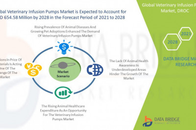 Global Veterinary Infusion Pumps Market Is Expected to Grasp the CAGR of 12.3% by 2030, Industry Size, Shares, Trends, Growth and Revenue Outlook