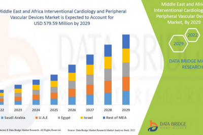 Middle East and Africa Interventional Cardiology and Peripheral Vascular Devices Market  Industry challenges , Major Technology Giants .