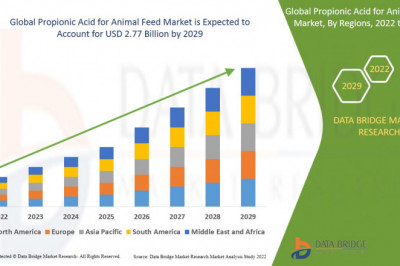 Pre Painted Metal Market Growth