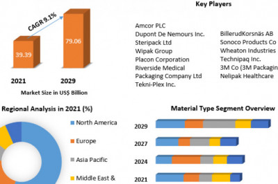 Dark Fiber Market Analysis of the World's Leading Suppliers, Sales, Trends and Forecasts up to 2029