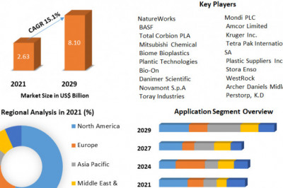 Report on the biodegradable plastics market: size, trends, and growth until 2029