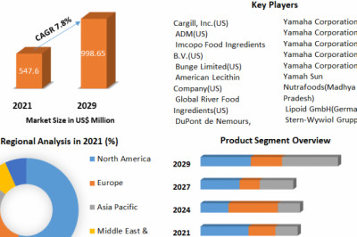 Lecithin market Share, Trends &amp; Emerging Growth Prospects, Leading Vendors And Future Scenario Up To 2029
