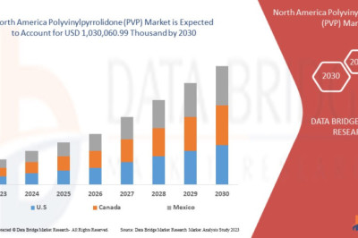 Product Innovations and Technological Advancements in the North American Polyvinylpyrrolidone (PVP) Market