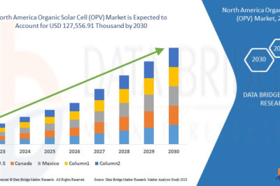 Competitive Landscape Analysis of the North America Organic Solar Cell Market