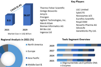 Synthetic Biology Market Opportunities Assessment, Trends And Analysis
