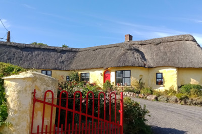 5 Best Things to Do in Waterford this Spring 2023