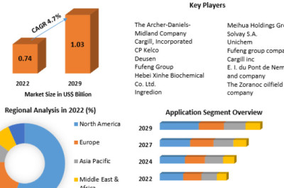 Xanthan Gum Market Research Report – Size, Share, Emerging Trends, Historic Analysis, Industry Growth Factors, And Forecast 2029