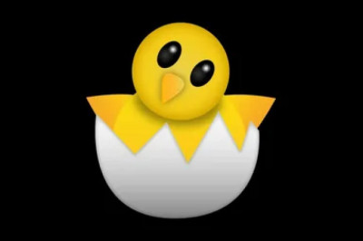 Trending Designs in Internet Chick Merchandise Online