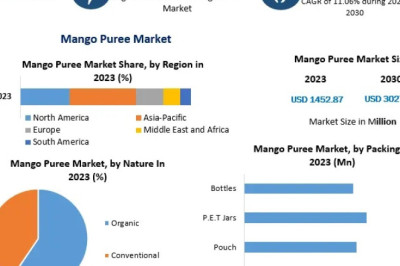 Mango Puree Market: Competitive Landscape and Growth Outlook 2030